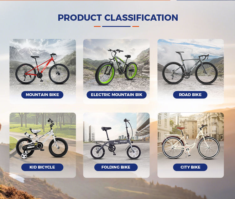 Company Overview - Tianjin Zyx Bicycle Co., Ltd.