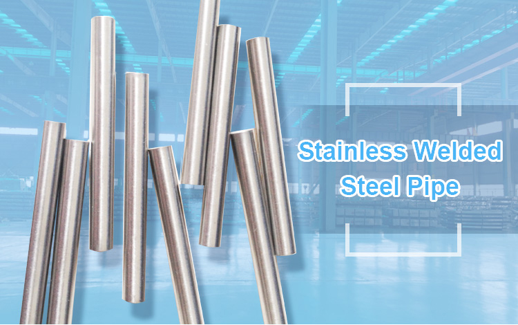 304 304L 316 316L 310S 321 Seamless Stainless Steel Tube SS Pipe