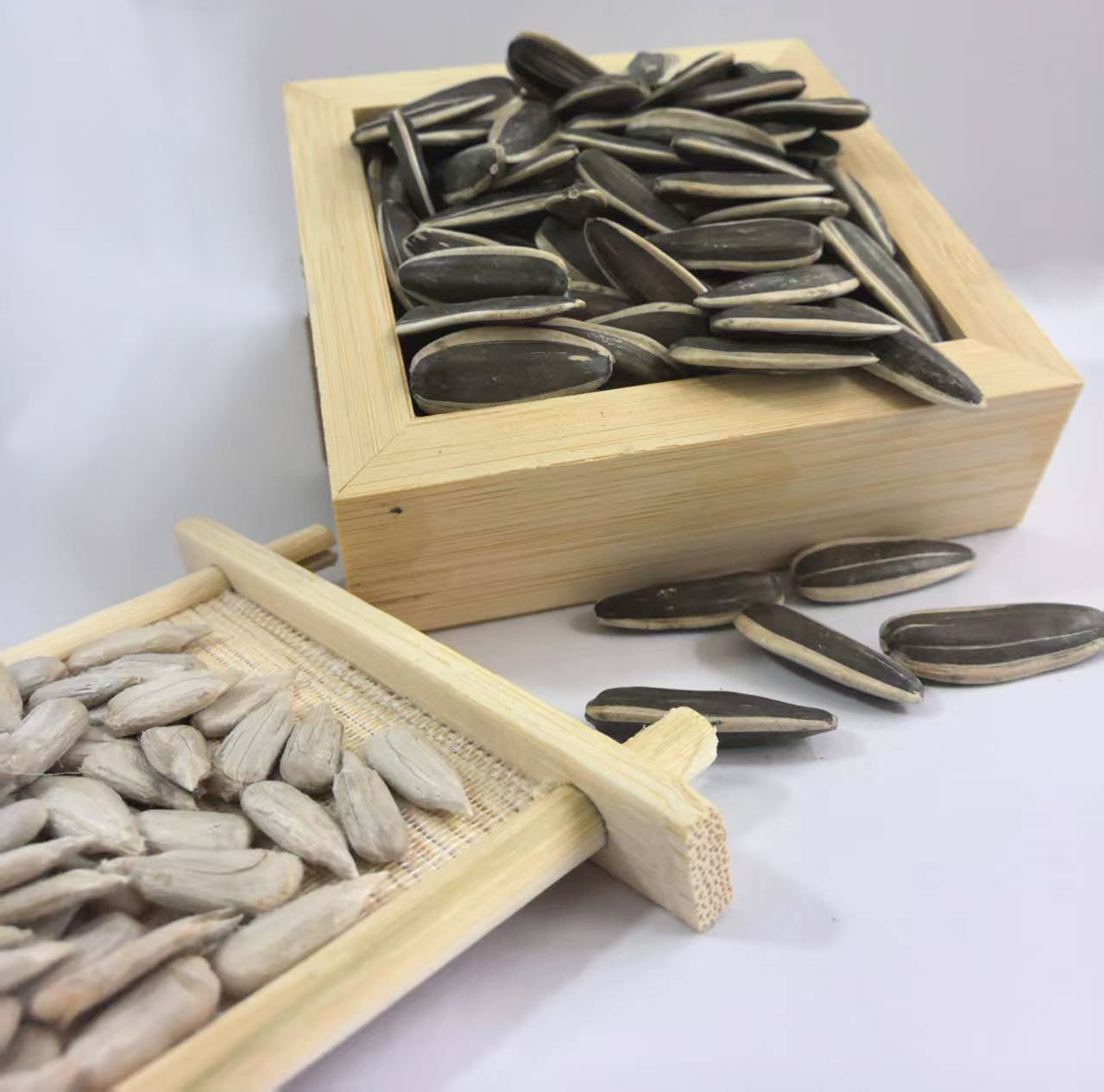 Do Roadrunners Eat Bird Eggs? Yes, They Do