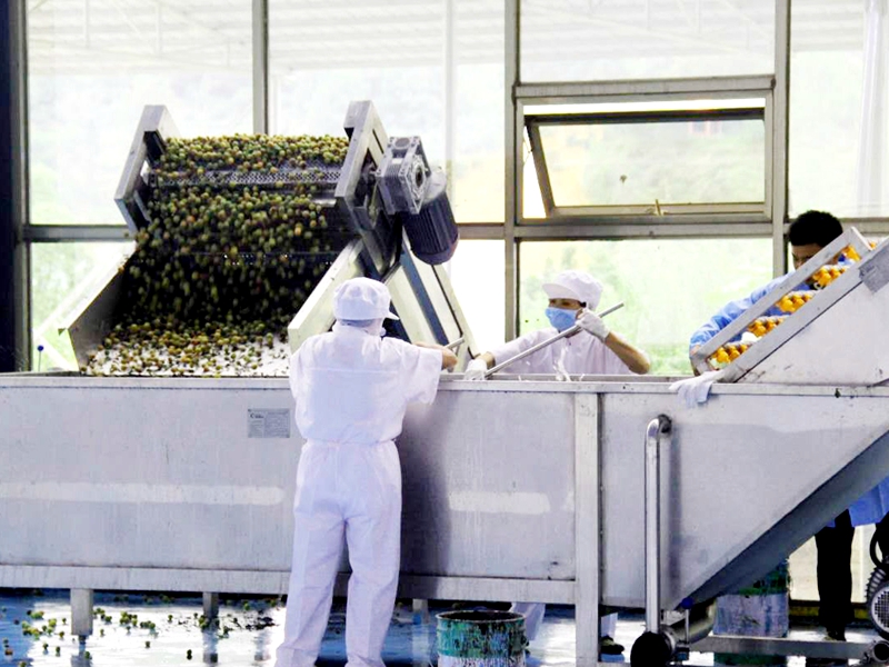 Pineapple Juice Puree Beverage Production Processing Line UHT Sterilizing