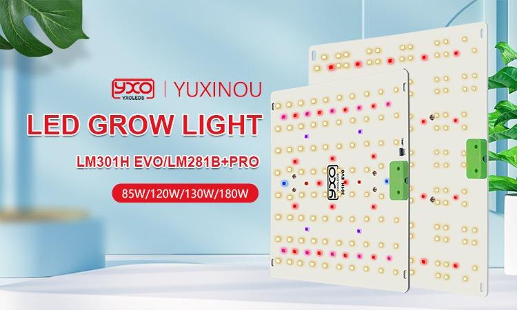 Company Overview - Shenzhen Yuxinou Technology Co., Ltd.