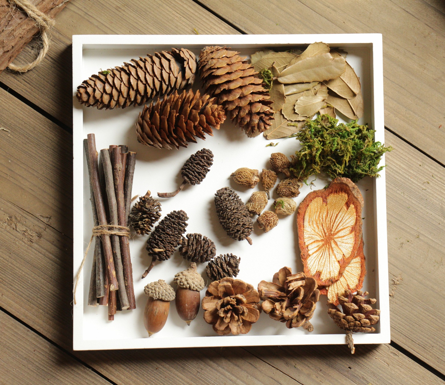 圣诞装饰品圣诞花作为橡树的种子,橡子象征着潜力和耐心,在北欧和