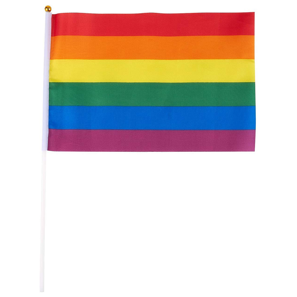 定制小尺寸摇旗聚酯印花 lgbt 同性恋骄傲 14 * 21厘米手持彩虹旗
