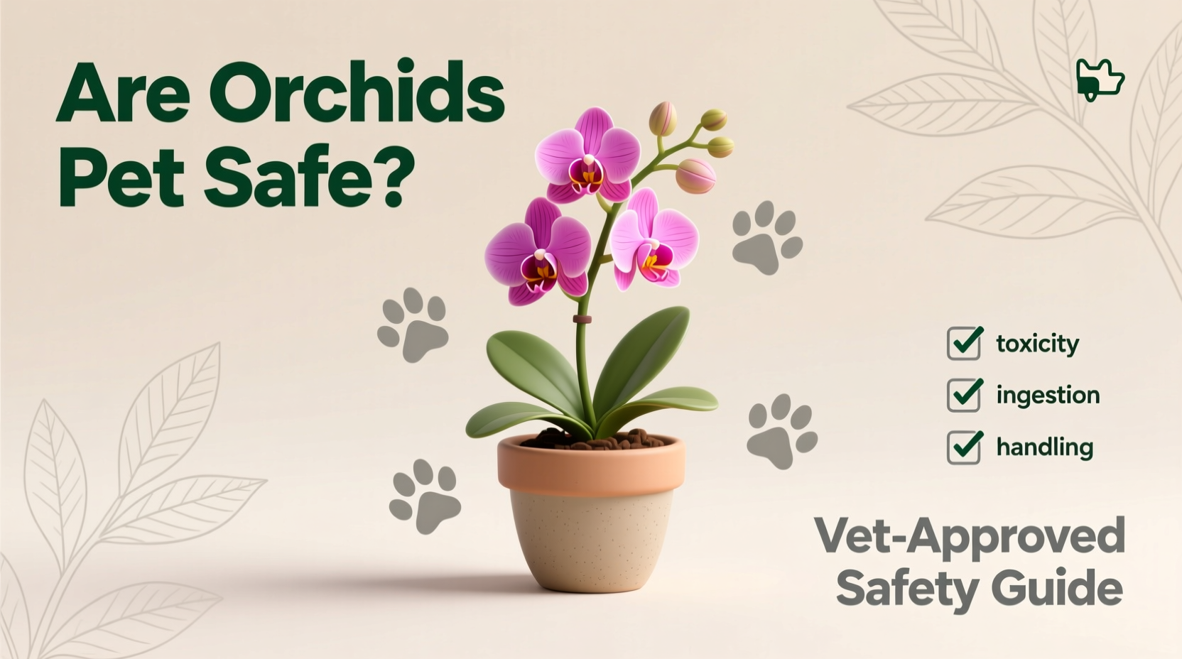 are orchids pet safe