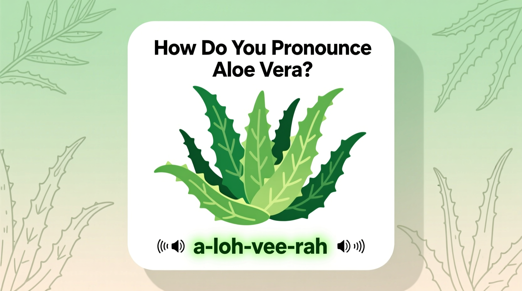 how do you pronounce aloe vera