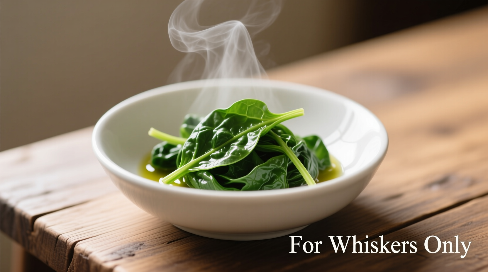 Close-up of cooked spinach served in small portion for cat