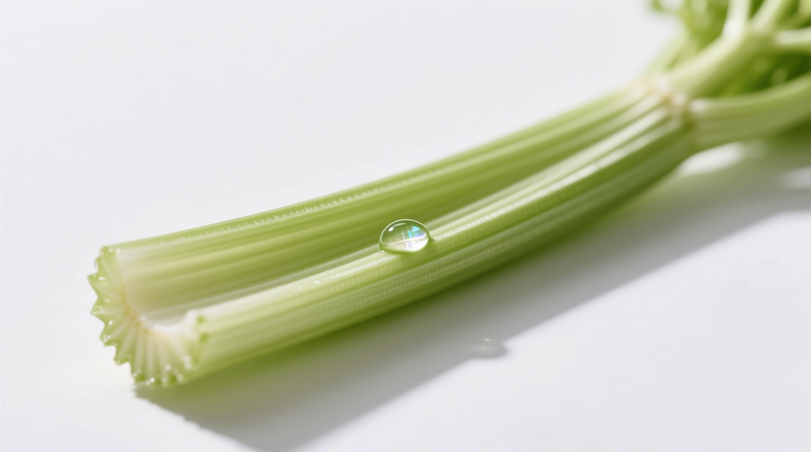 rib of celery