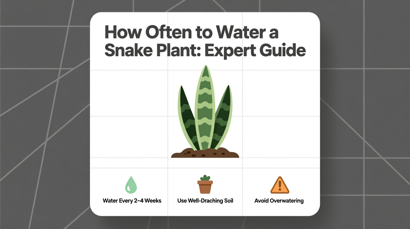 how often should i water my snake plant