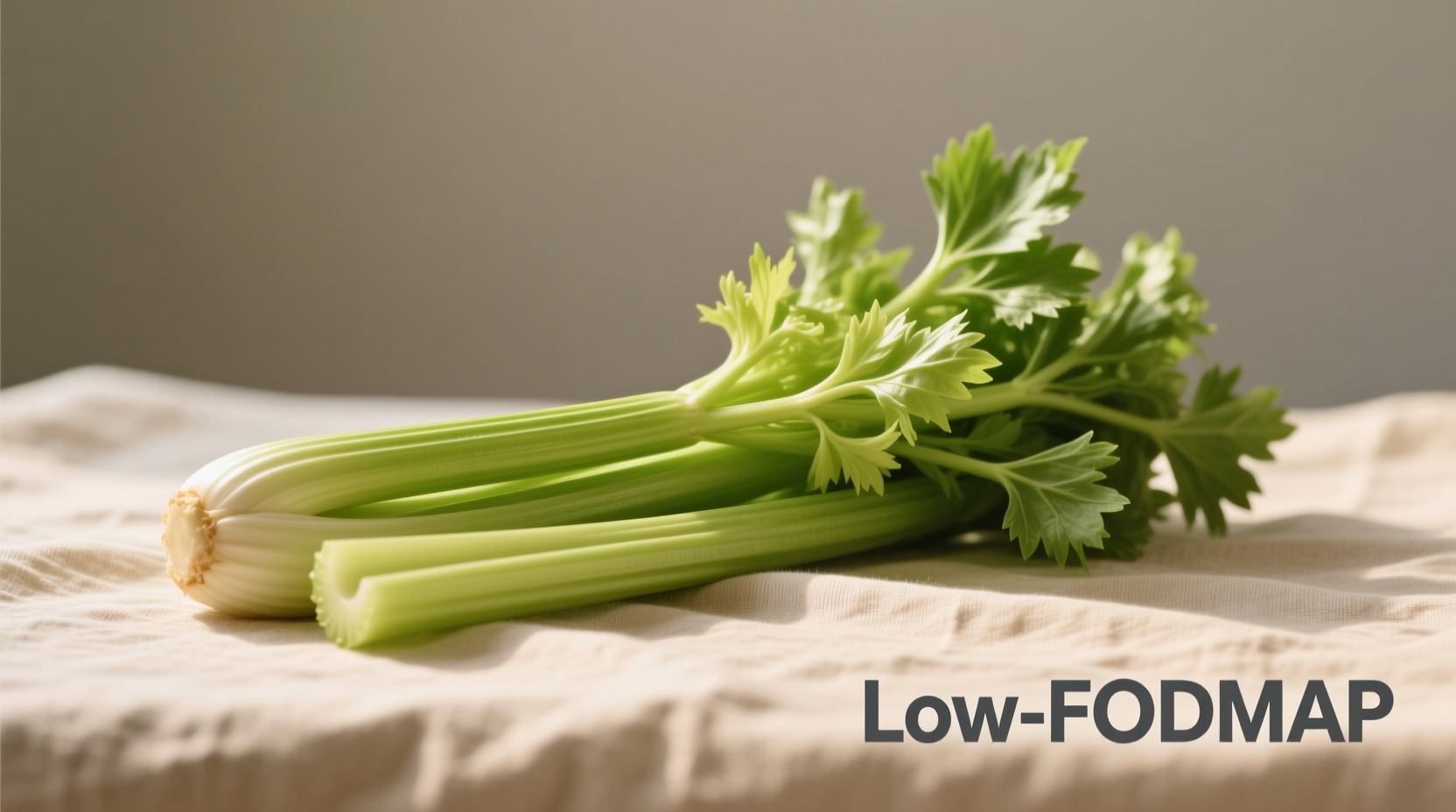 celery low fodmap