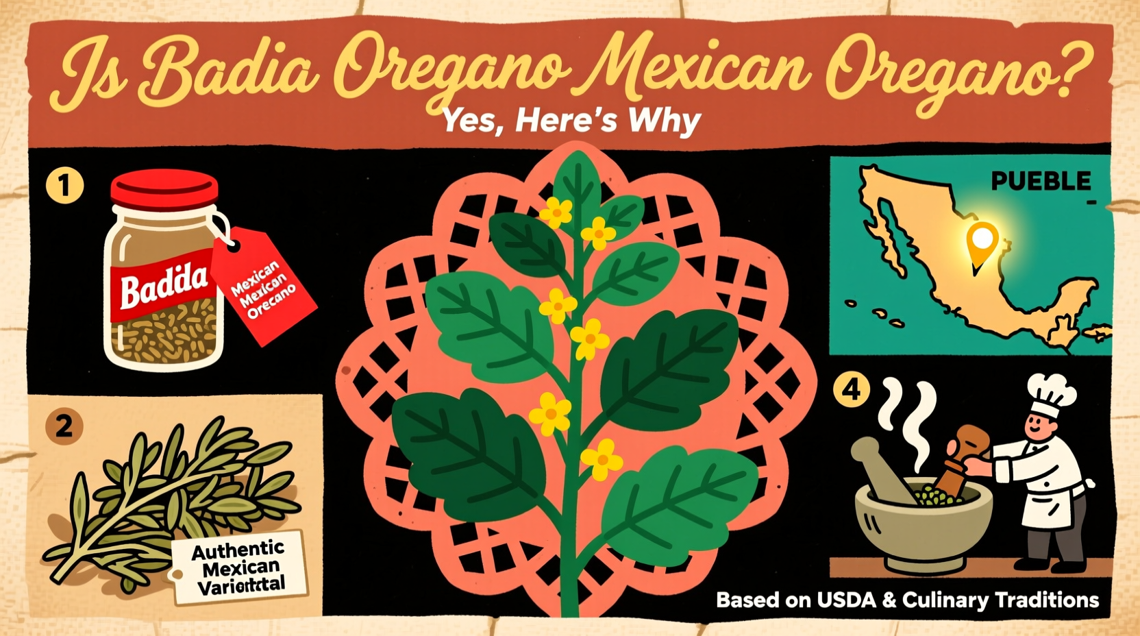 Is Badia Oregano Mexican Oregano? Yes, Here's Why