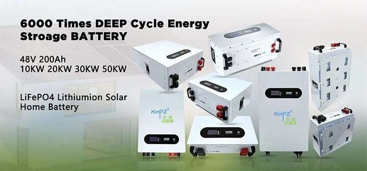 Company Overview - Shenzhen Xinpinzhi Technology Co., Ltd.