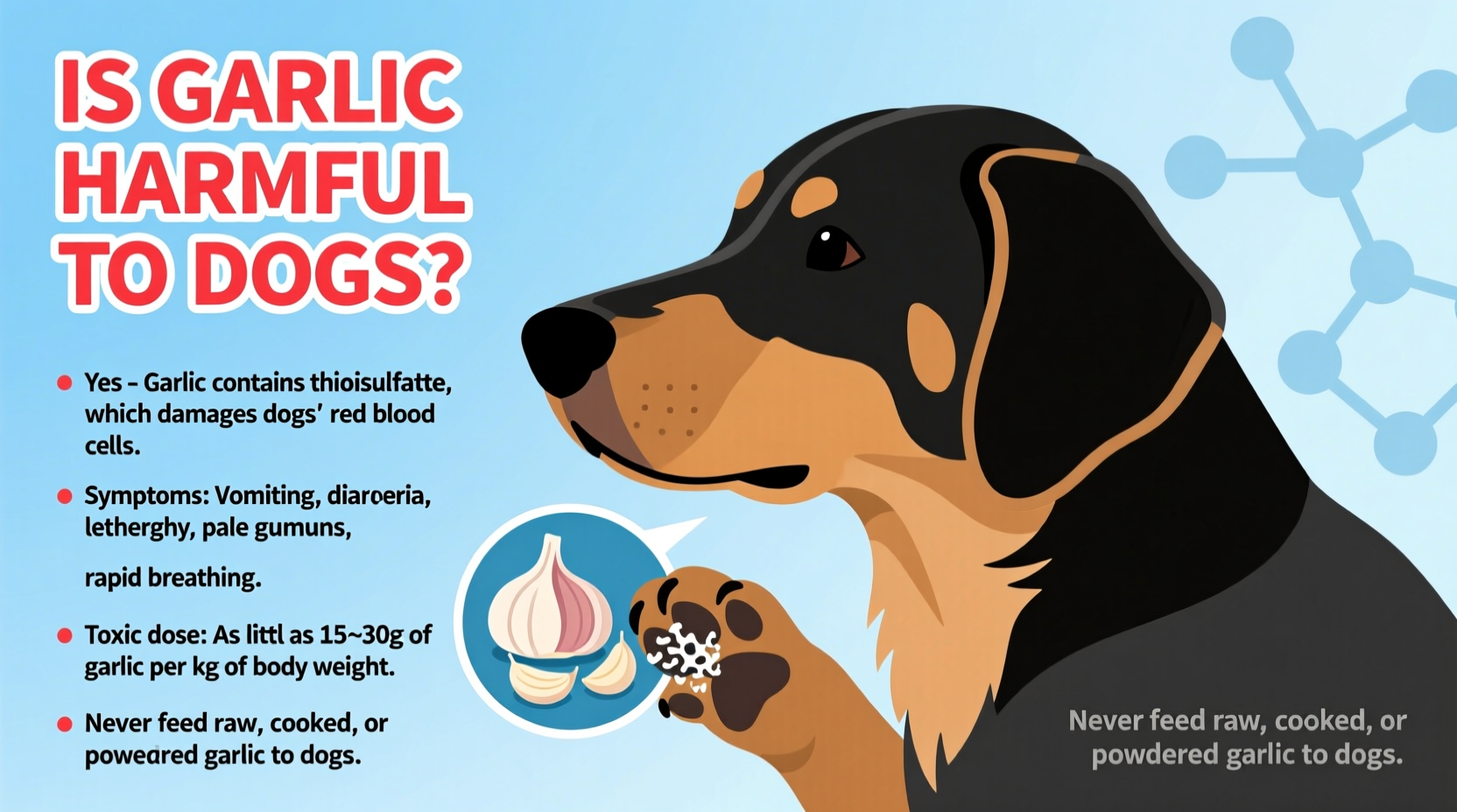 Is Garlic Harmful to Dogs? Vet-Confirmed Facts