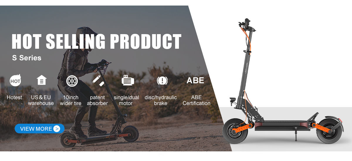 Zhejiang Lebu Electric Vehicle Co., Ltd. Electric Scooter, Scooter