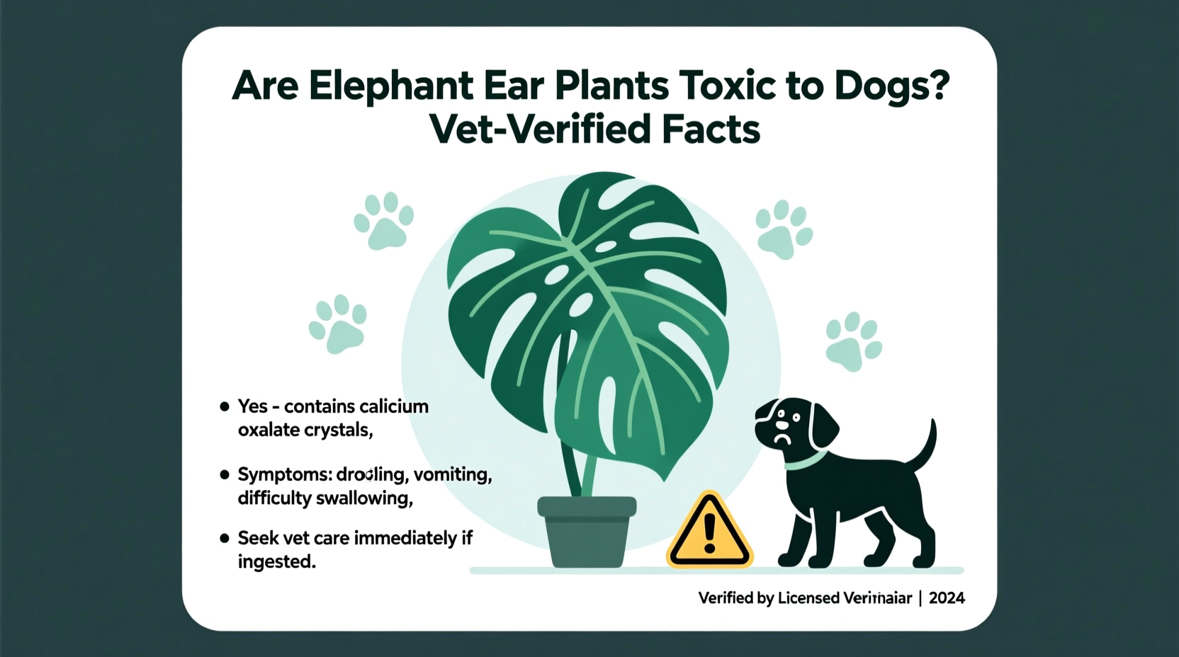 are elephant ear plants toxic to dogs
