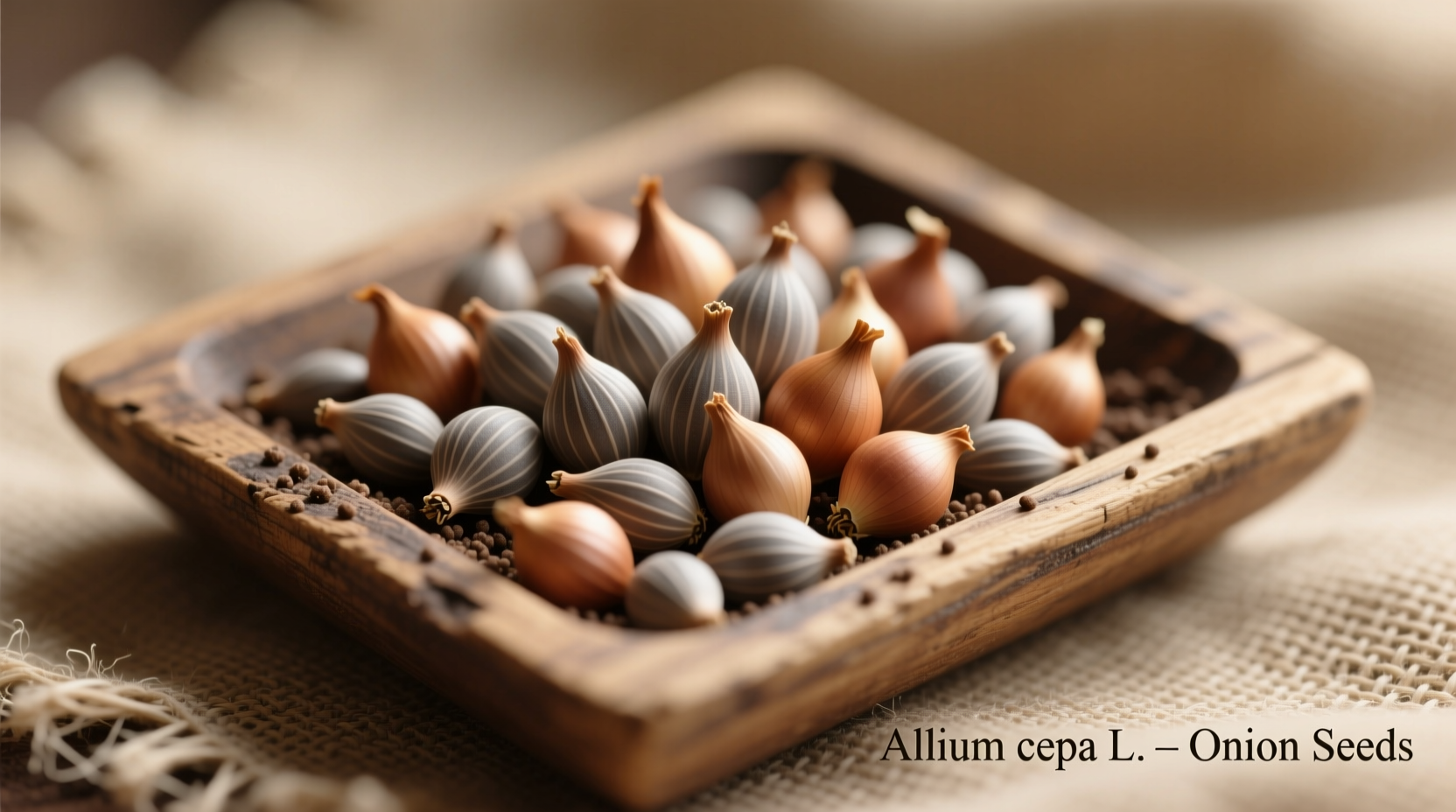 Bunching Onion Seeds: Complete Growing Guide for Gardeners