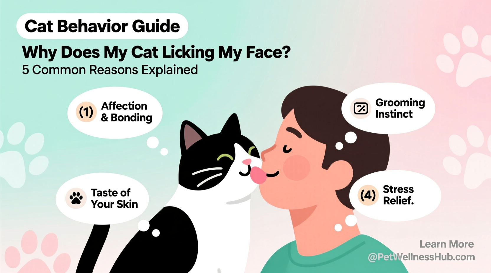 why does my cat lick my face common reasons explained