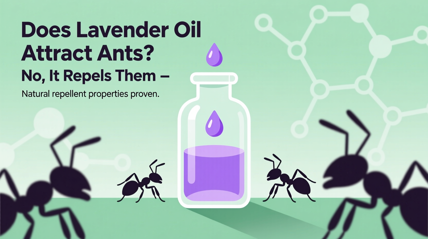 does lavender oil attract ants