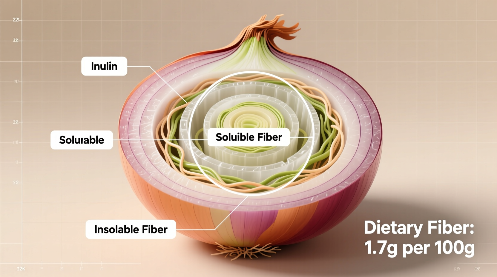 Onion Dietary Fiber: Content, Benefits & How to Use
