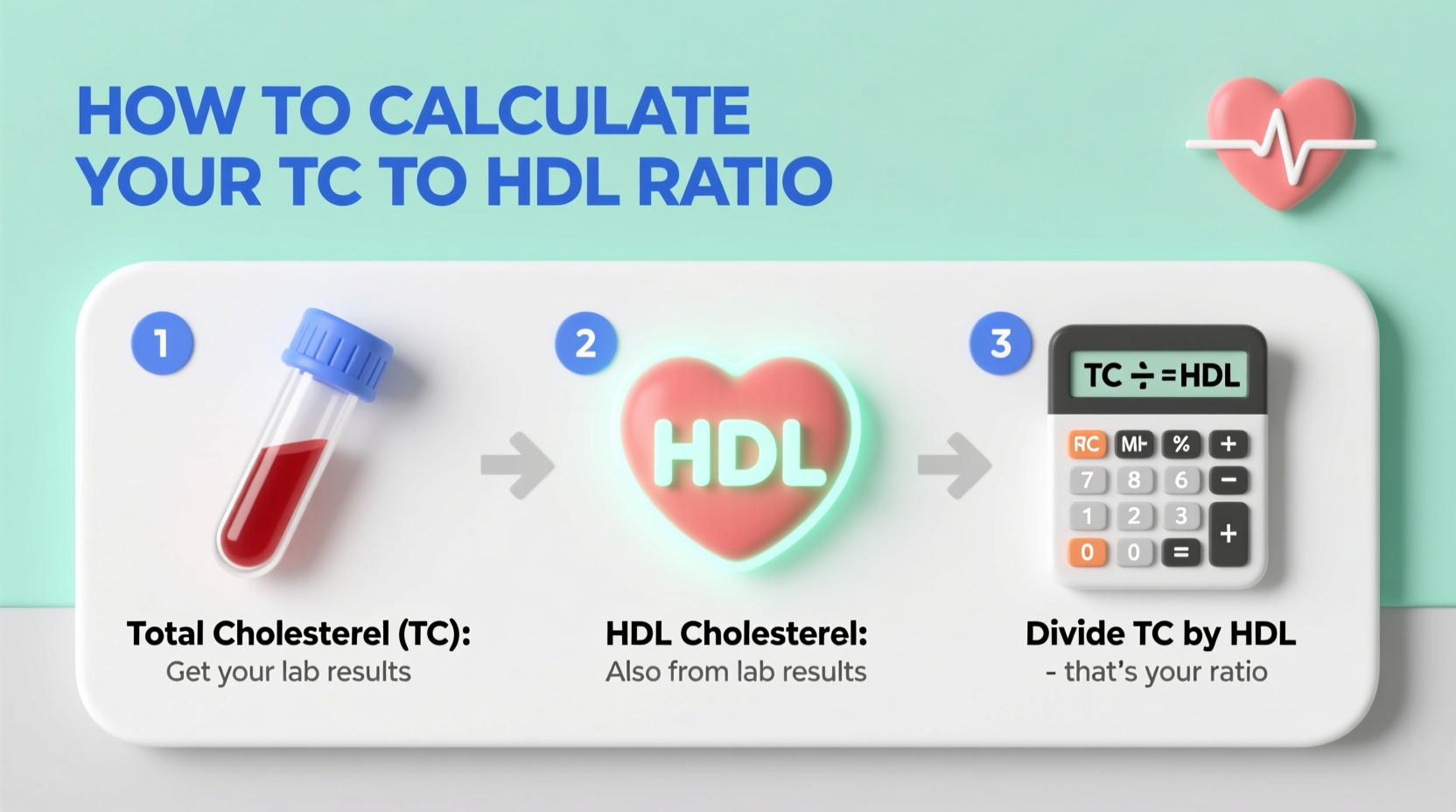 a simple guide to calculating your tc to hdl ratio for better heart health