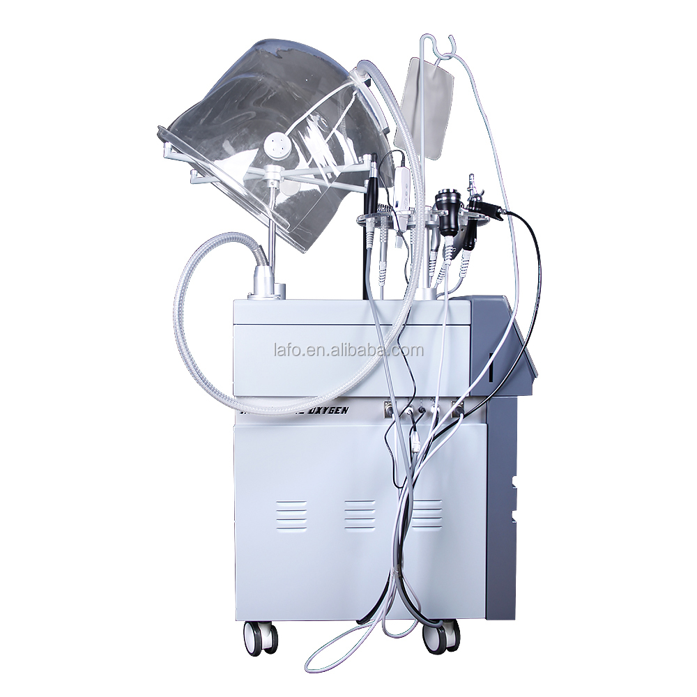 12 in 1 Beauty Spa Use Skin Rejuvenation Hyperbaric oxygen therapy facial machine CE approved LF-826B
