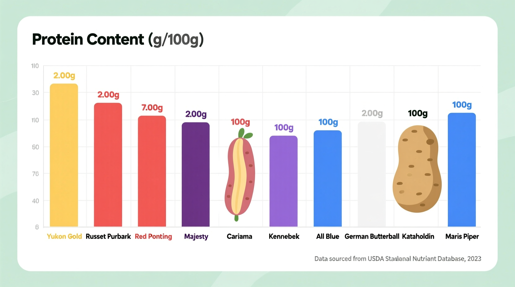 Nutrition chart showing protein content in different potato varieties