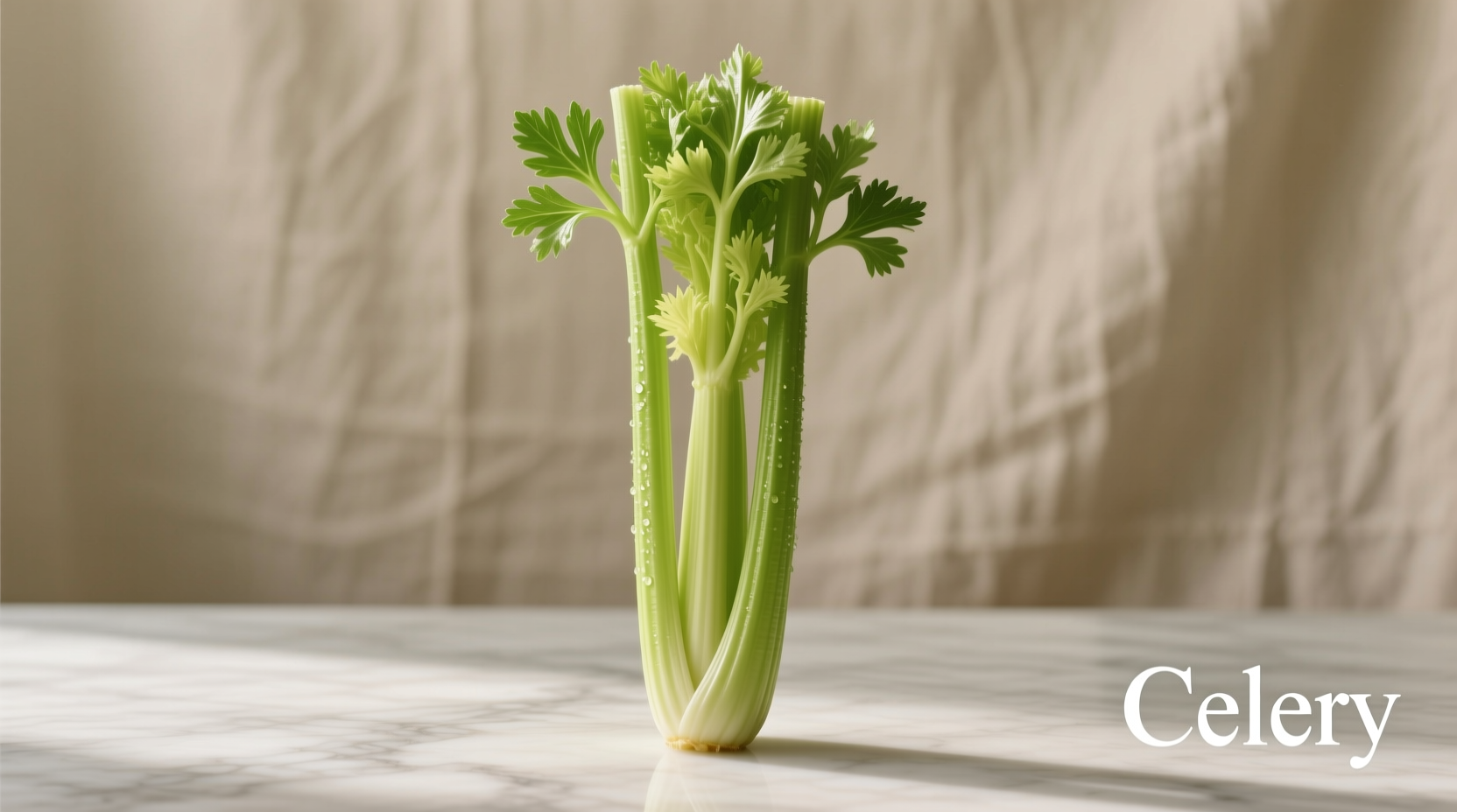 Celery Is: Definition, Benefits & Culinary Uses Explained