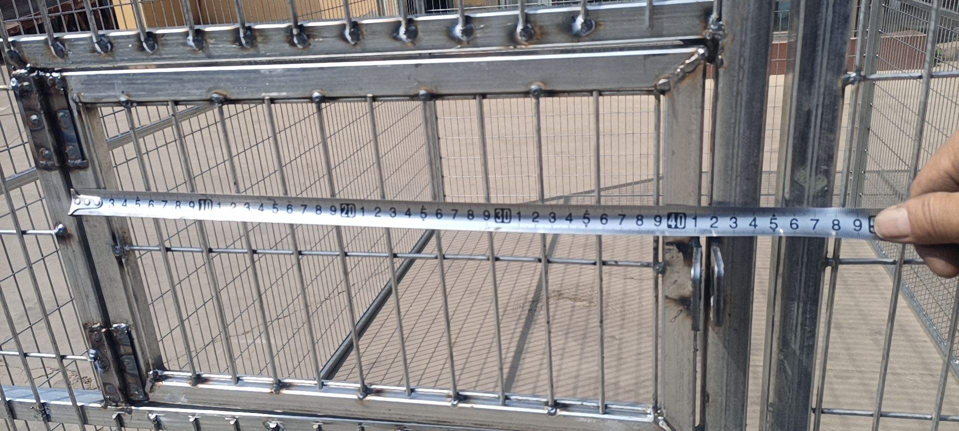 How Do Birds Choose Mates? Fascinating Behaviors Explained