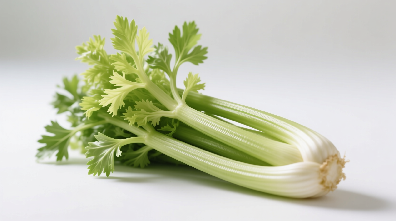 Bunch of Celery: Complete Usage Guide & Storage Tips