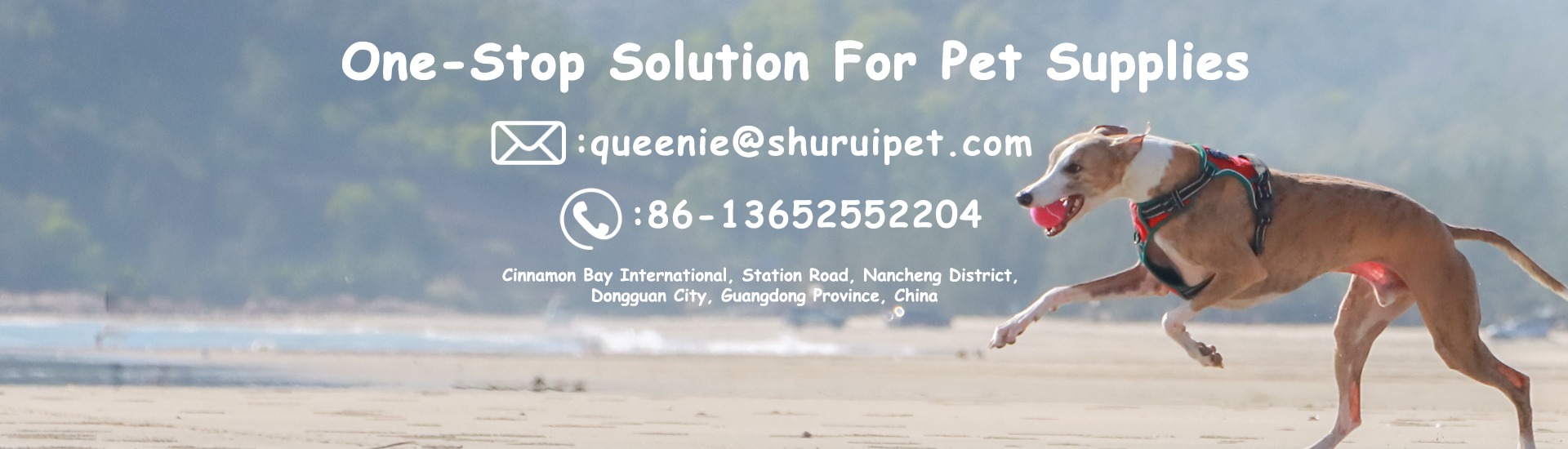 Company Overview Dongguan Shurui Pet Products Co., Ltd.