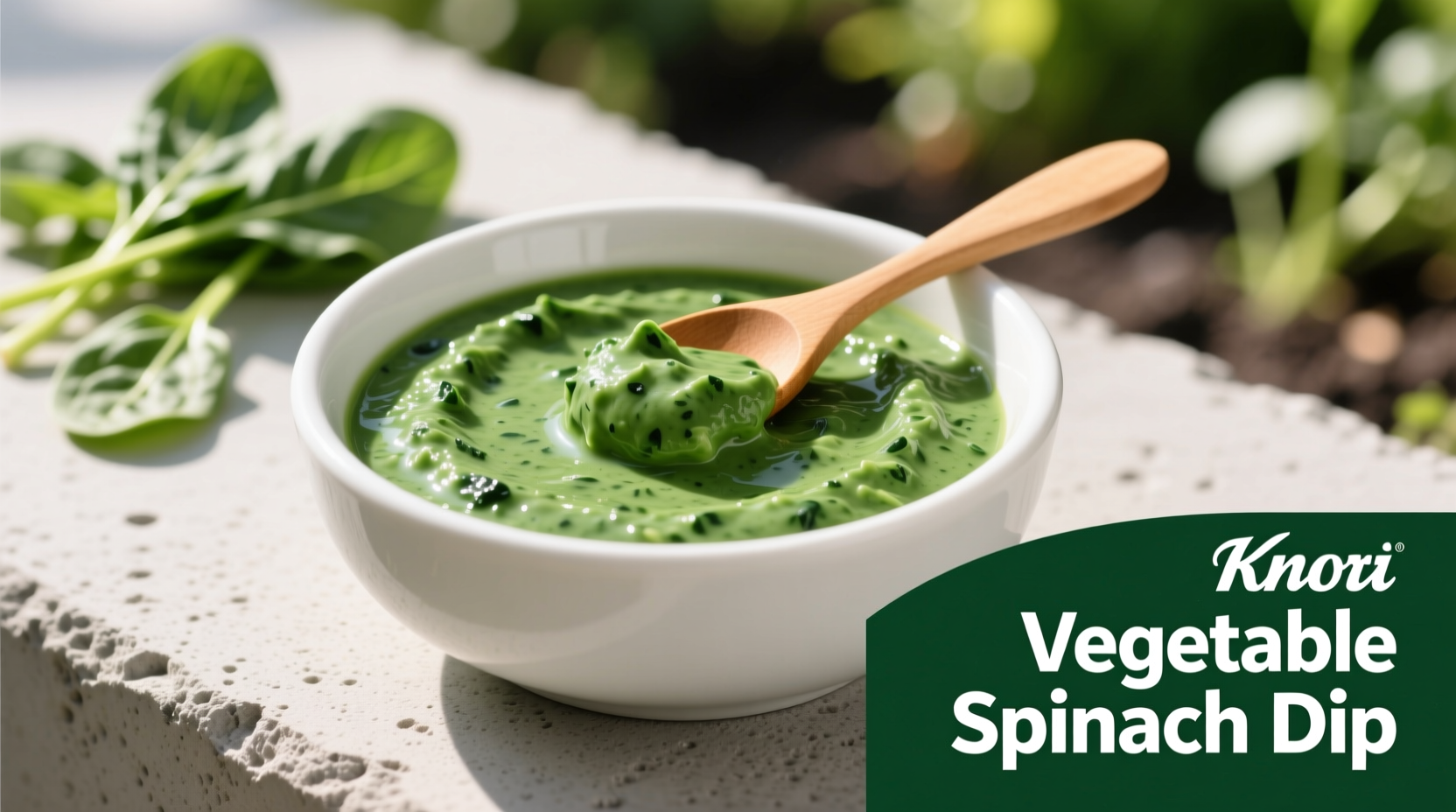 Knorr Vegetable Spinach Dip Recipe Made Simple