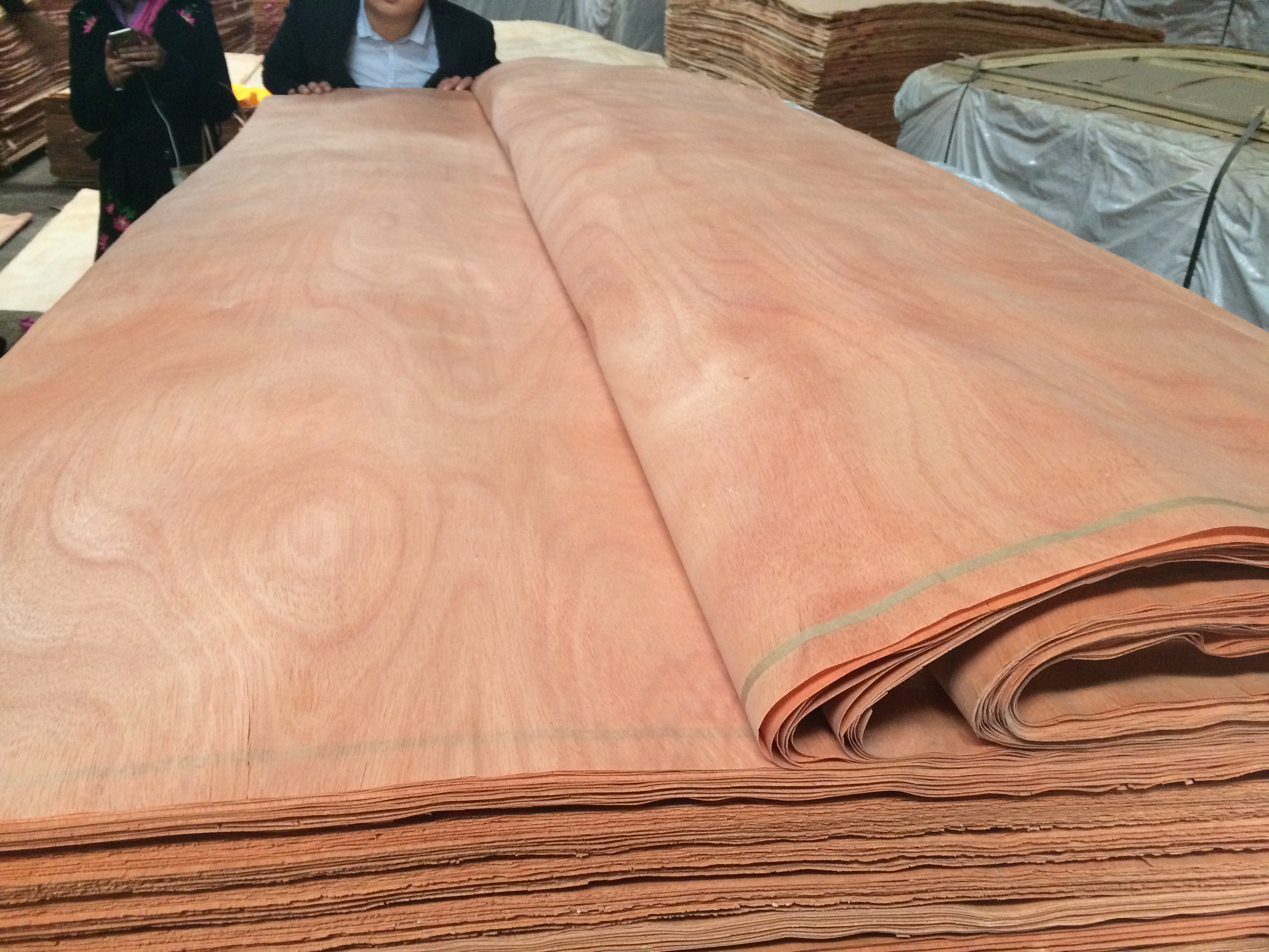 Fsc low price good quality 1mm american walnut beech wood veneer