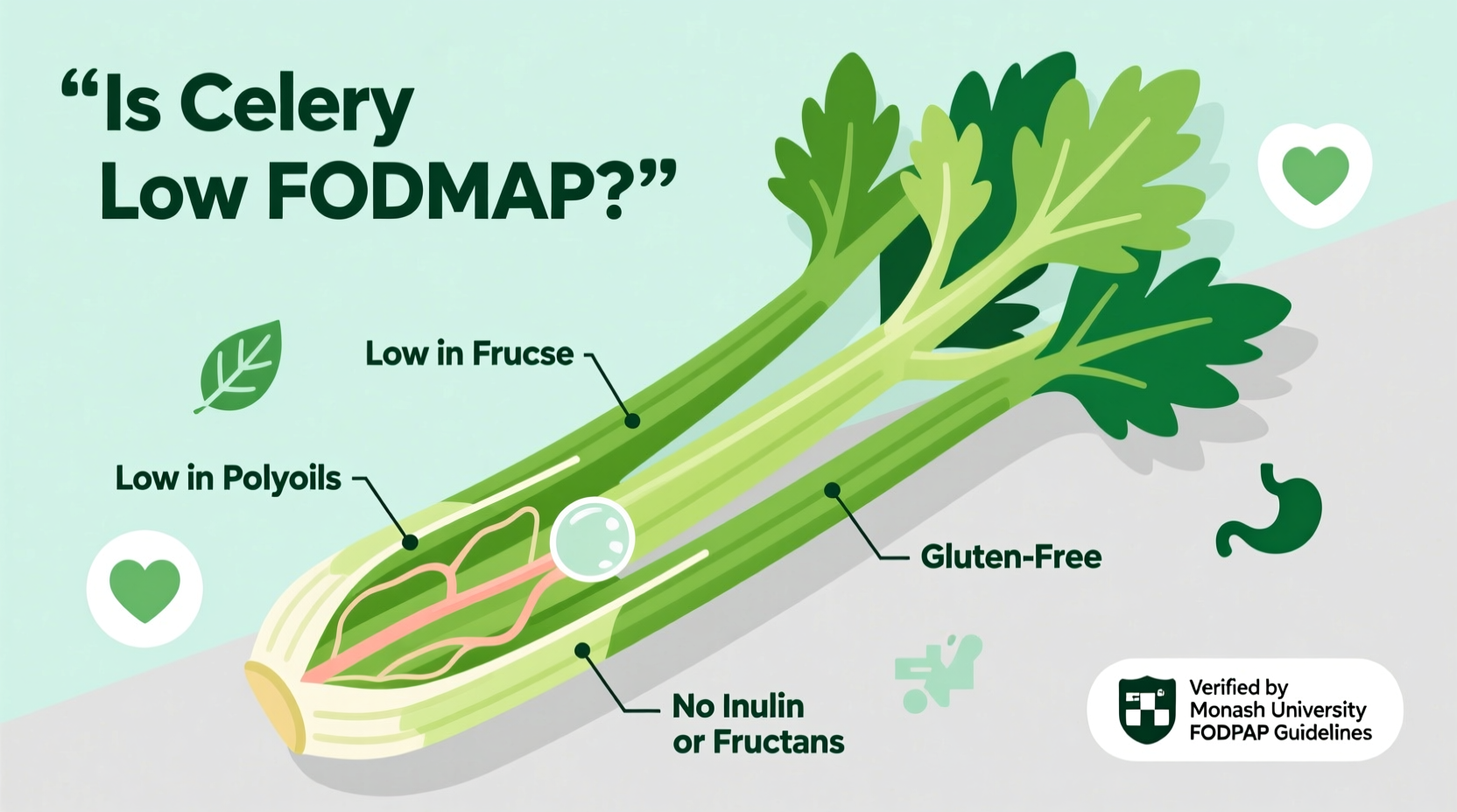 is celery low fodmap