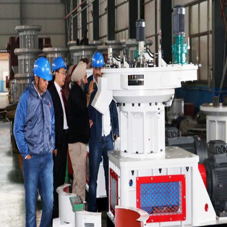 LONGZE pellet machine with wooden production