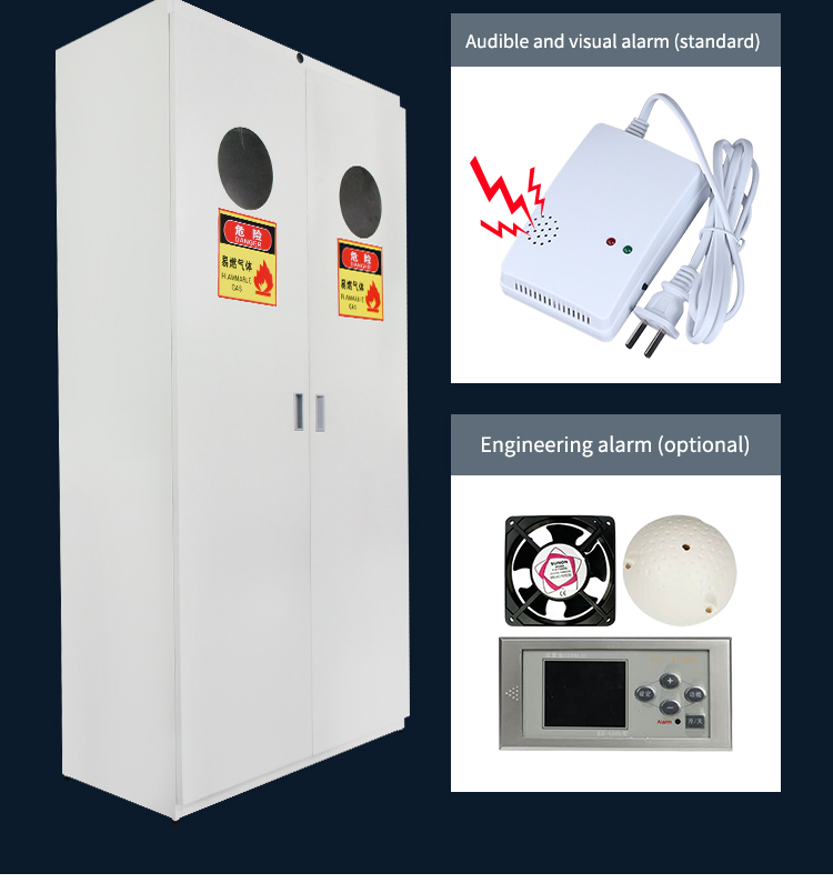 Hot sale All steel Gas Cylinder Cabinet  for Laboratory Lab Furniture/