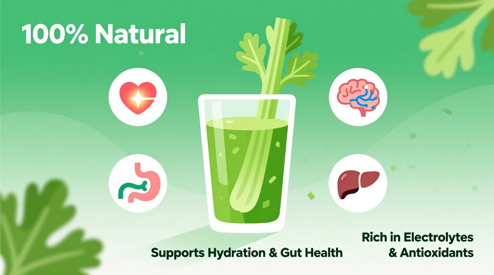 Celery Juice Benefits: Science-Backed Facts vs. Popular Claims