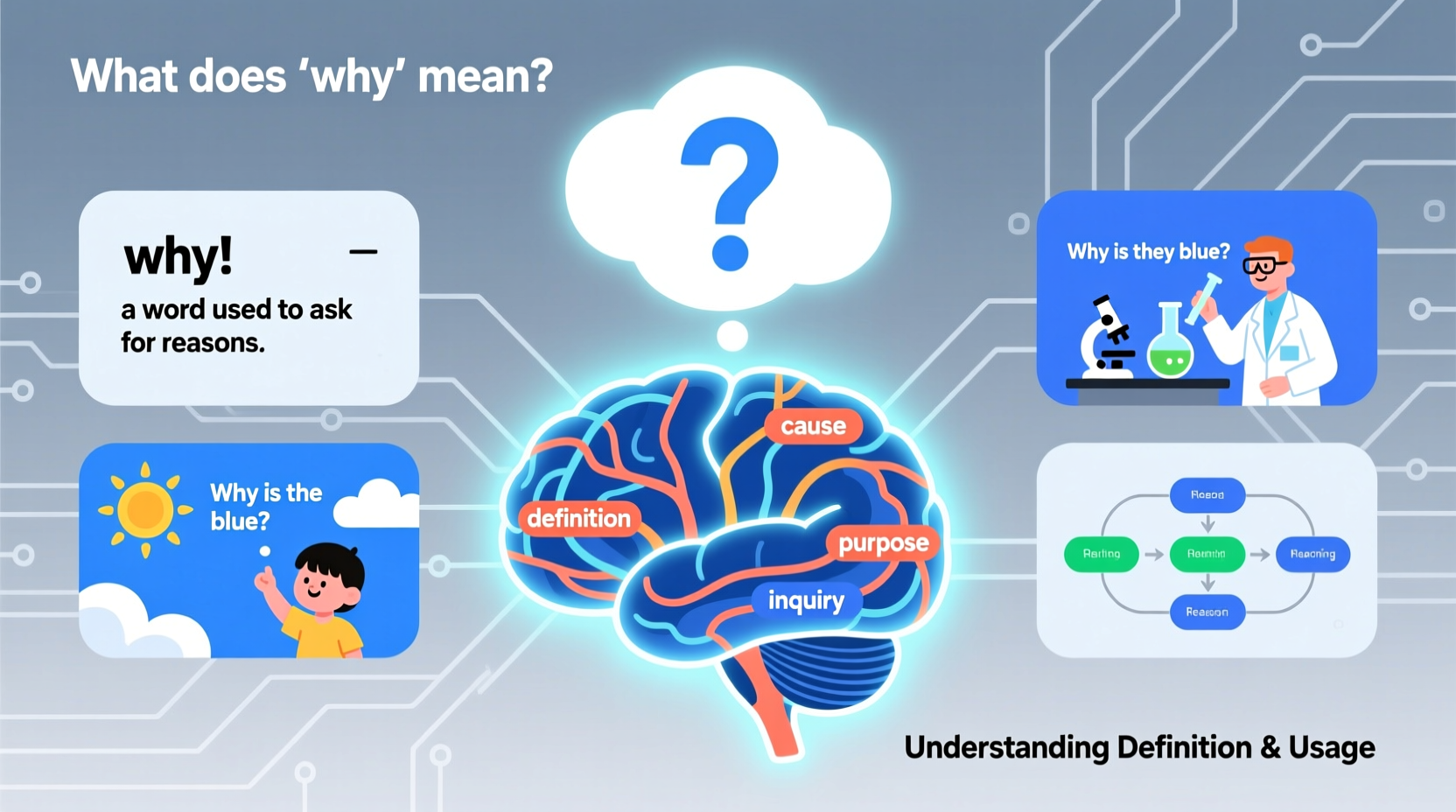what does why mean understanding the definition and usage