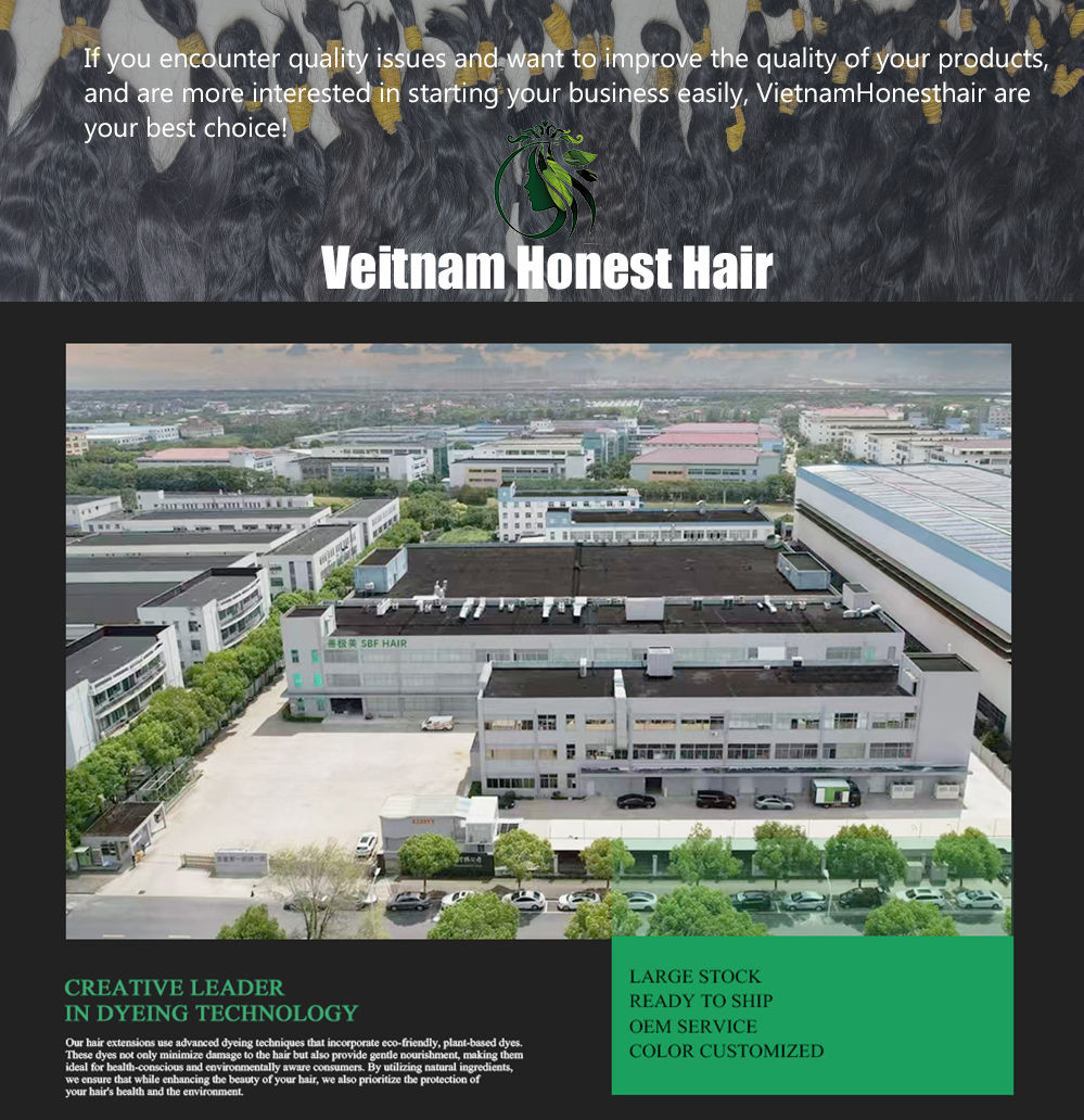 What is the Vietnam Natural Hair Company? 1 Company Overview - Viet Nam Honest Hair Products Company Limited