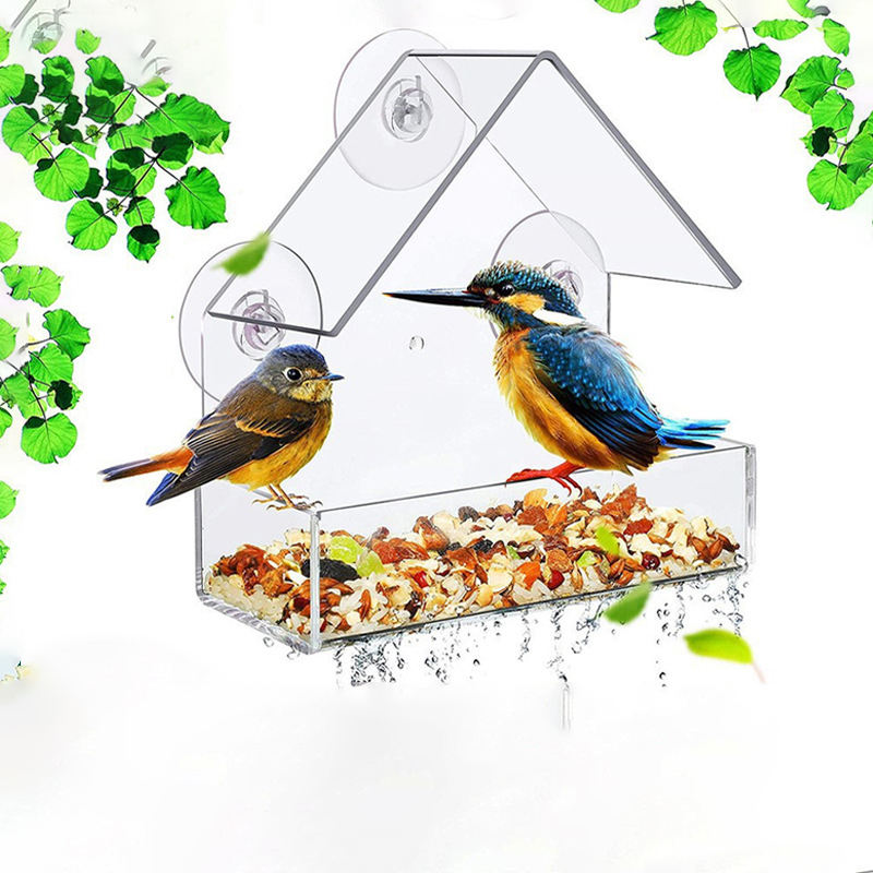 How to Stop Birds From Pooping on Your Deck