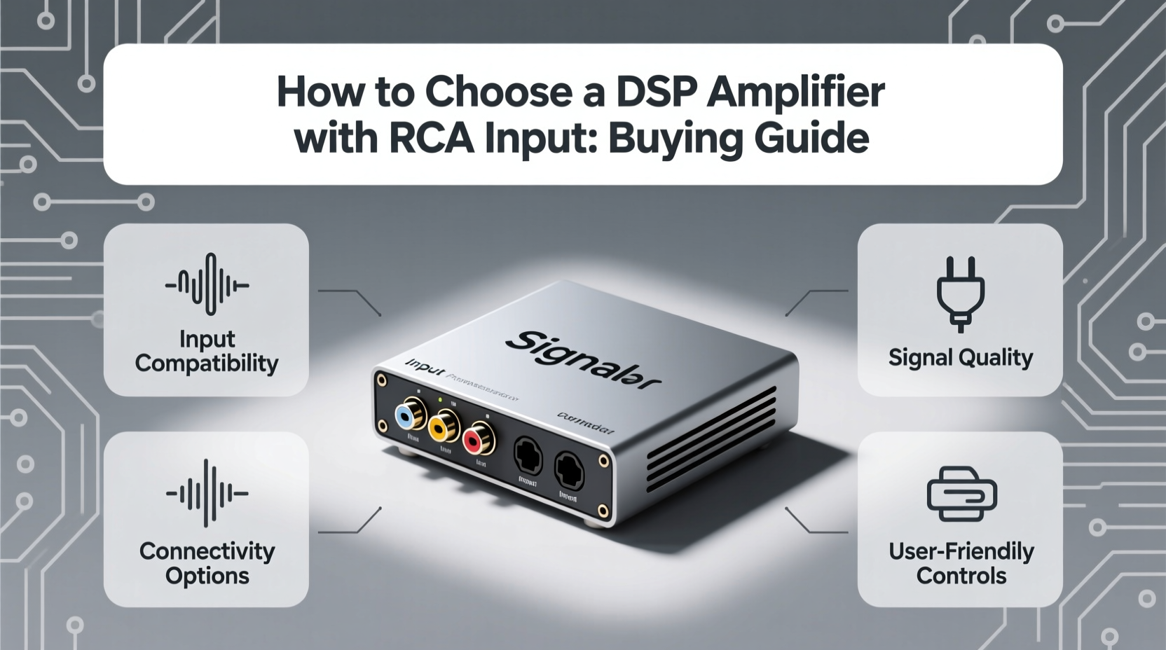 dsp amplifier rca input