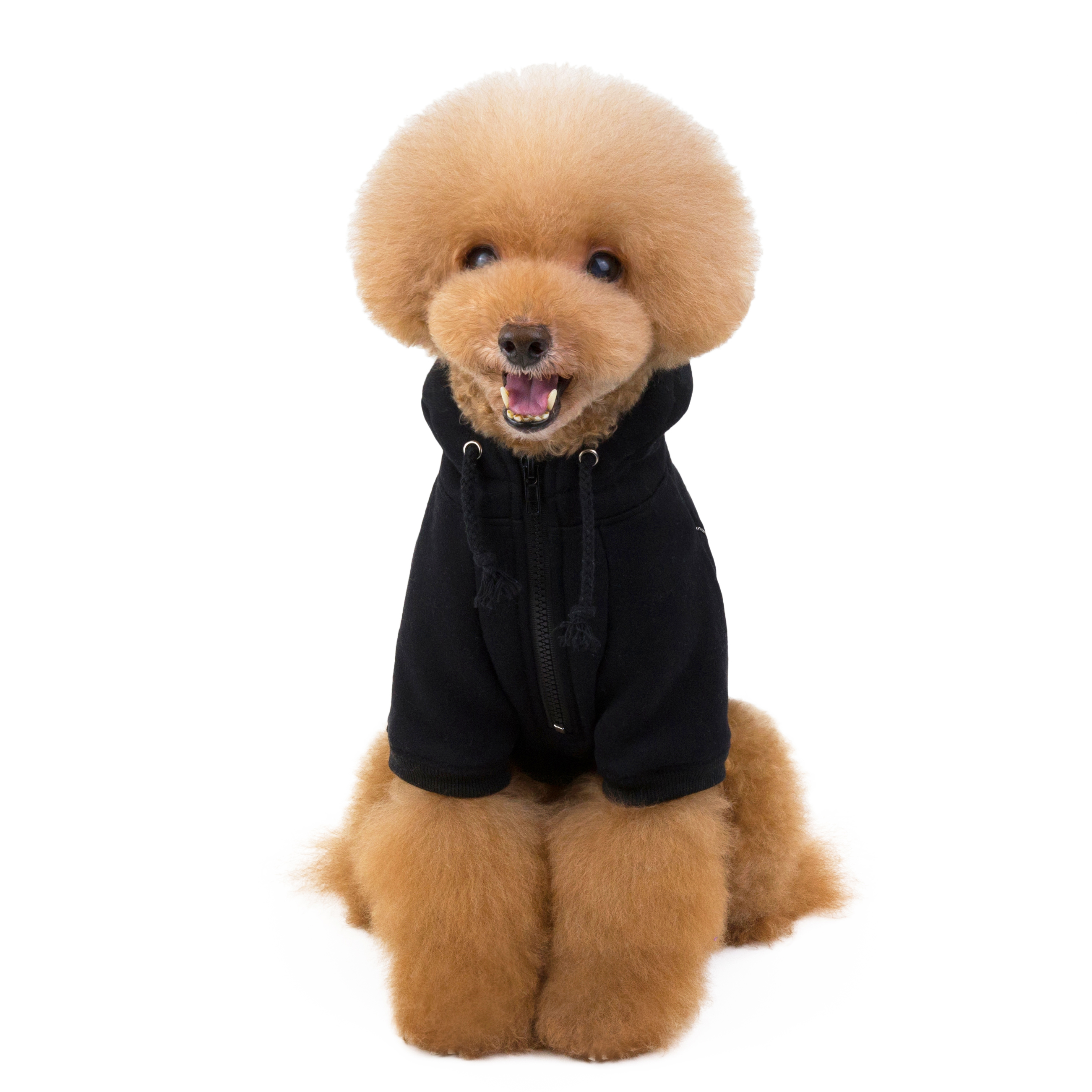 新款宠物冬季服装狗狗连帽衫休闲运动纯色宠物毛衣小狗大衣畅销狗衣服
