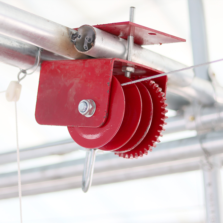 750w Poultry Farm Equipment 380v Chicken Drinking pan feeding system