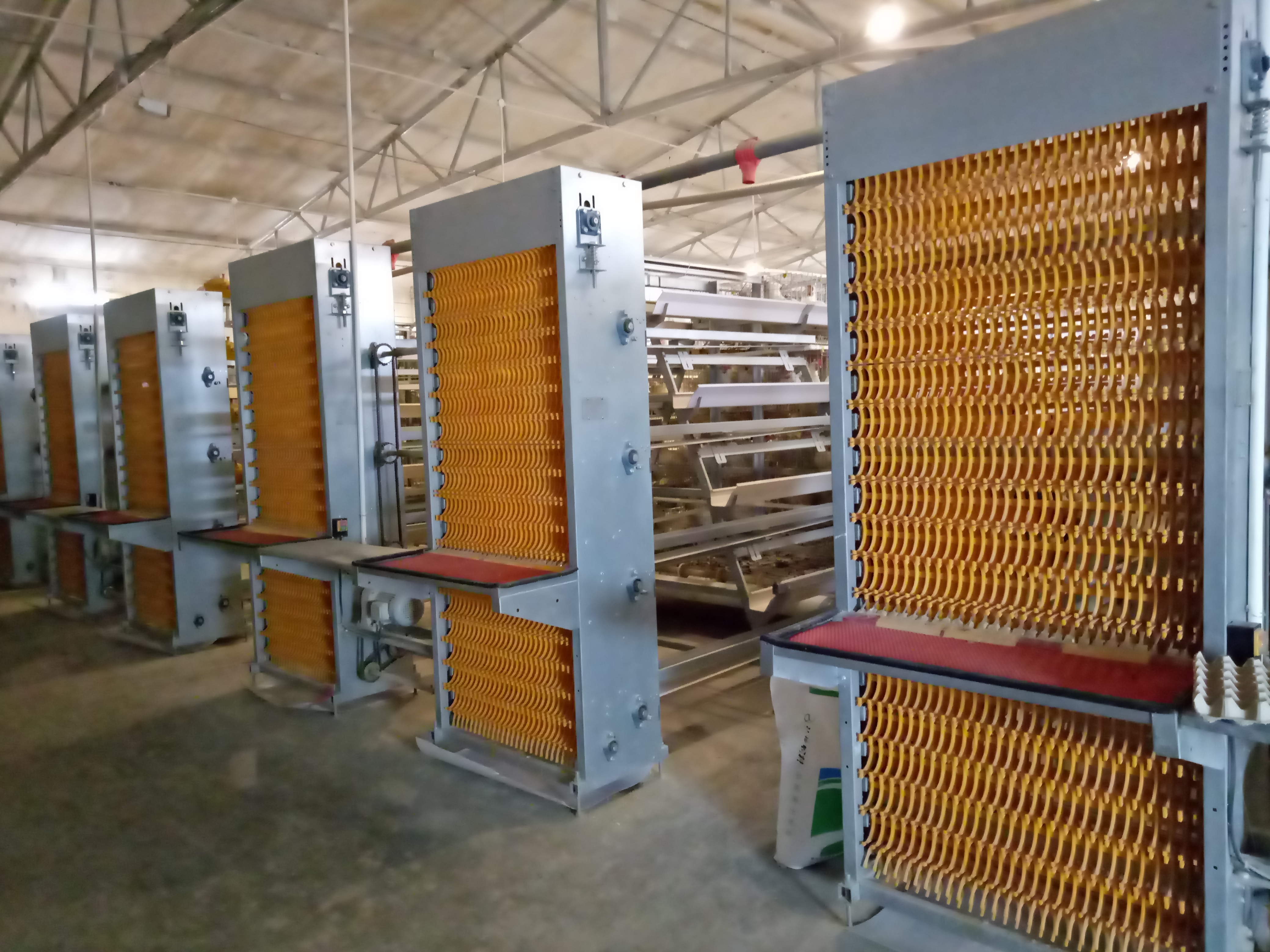 Read More About chicken coop cages for sale