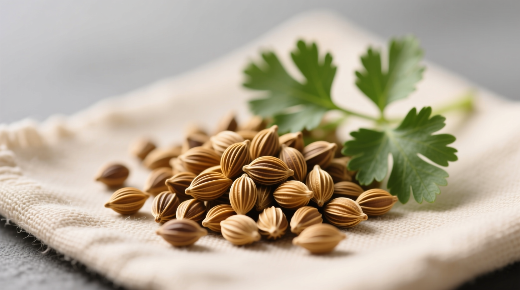 Dhania Coriander Seeds: Why 'Cilantro' Confusion Hurts Flavor Pairings