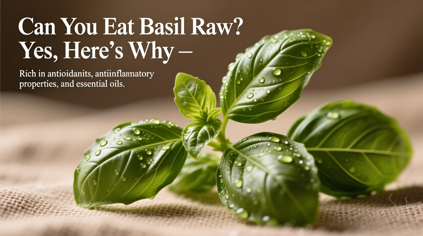 Can You Eat Basil Raw? Yes, Here's Why