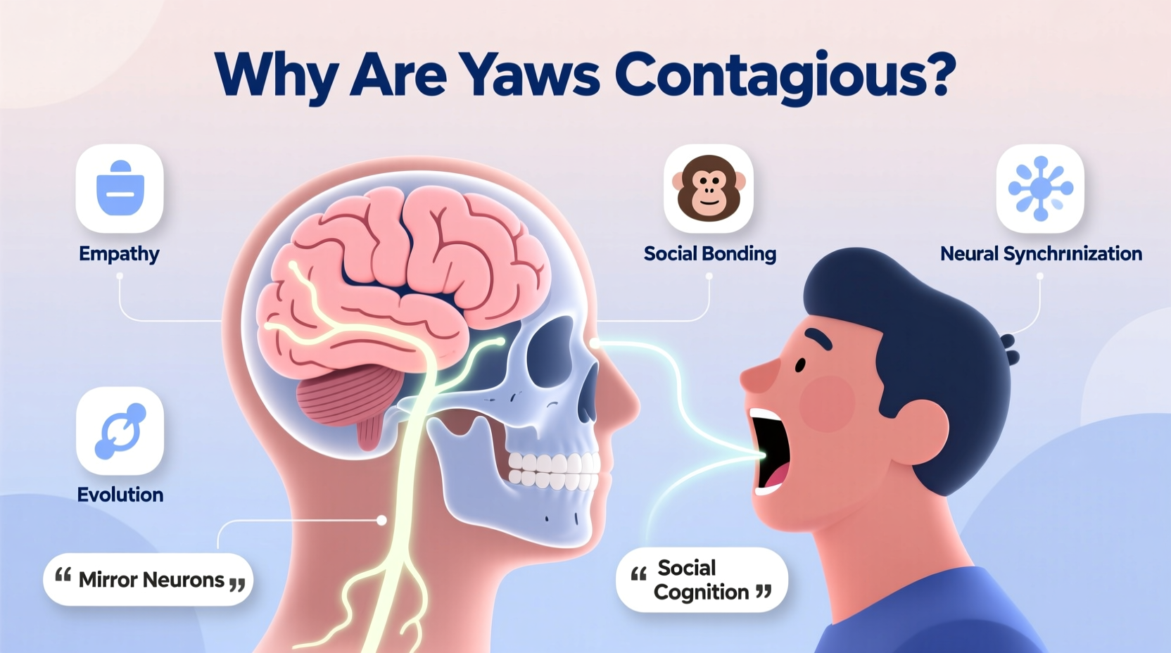 why are yawns contagious exploring the science behind it