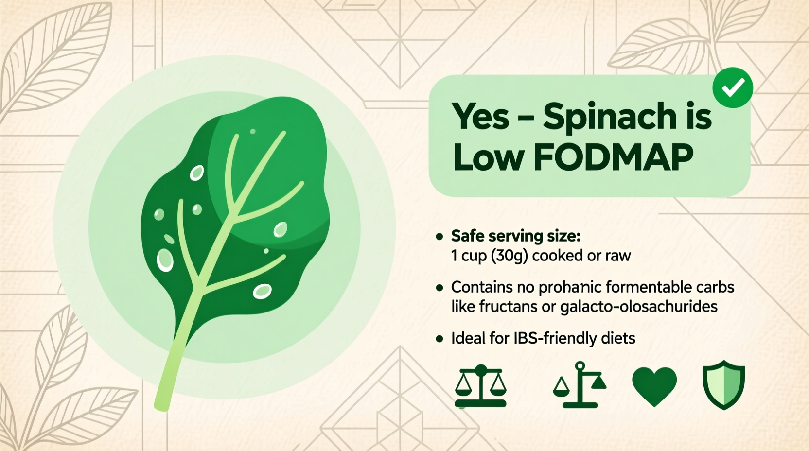 Is Spinach Low FODMAP? Portion Sizes & Practical Guide