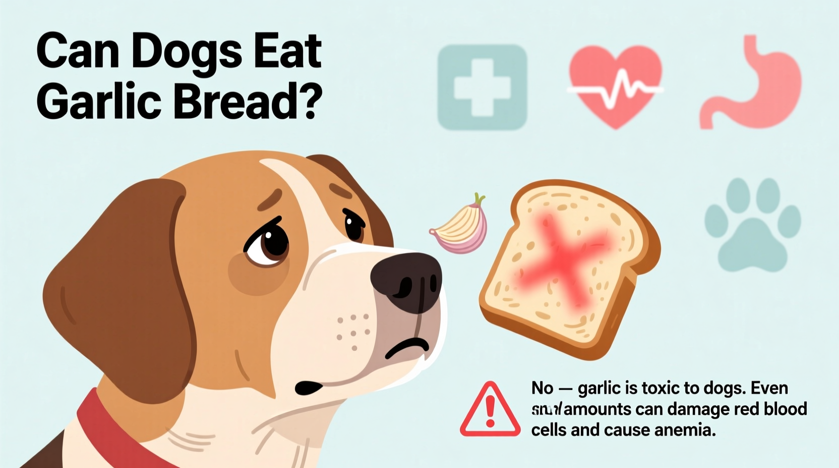 Can Dogs Eat Garlic Bread? The Dangerous Truth
