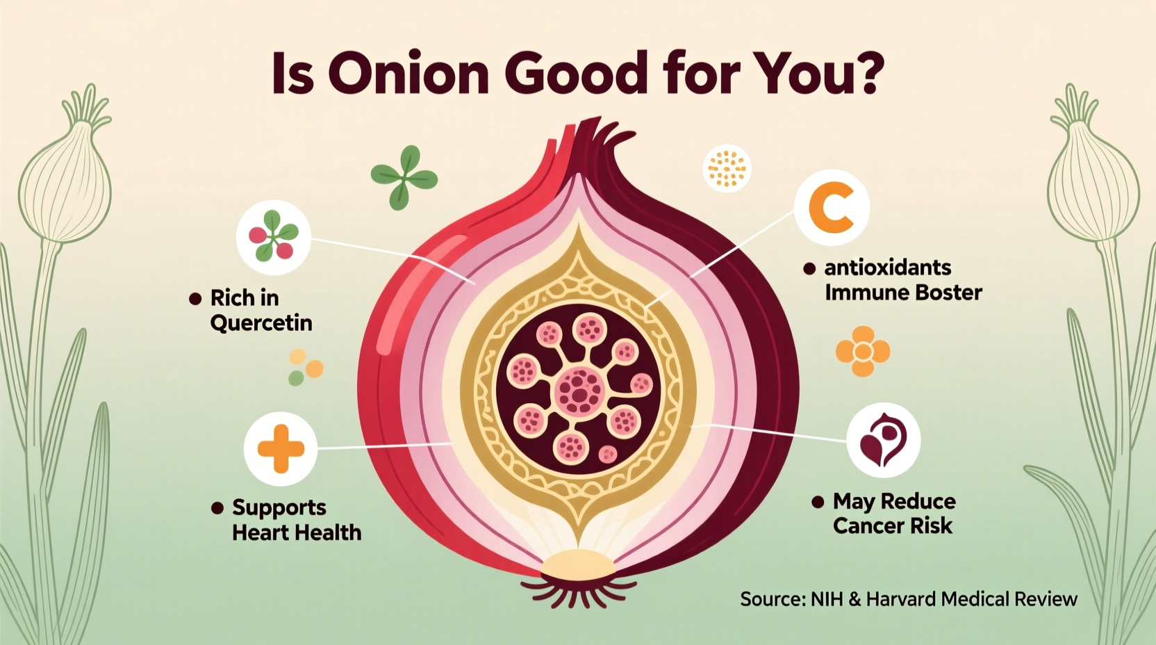 Onions: Health Benefits, Nutrition Facts & Science-Backed Evidence