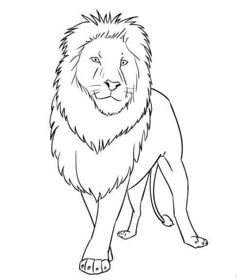 supplierLogo