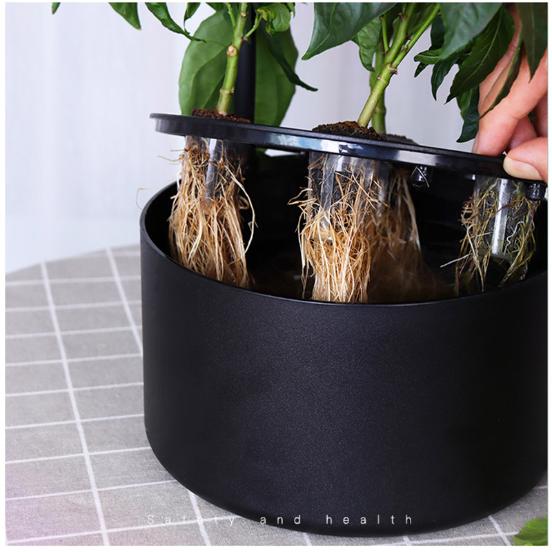 水培生长箱种植橱柜种植最好的生长箱,用于水培种植蔬菜和花盆